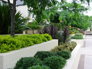 Helen Young Horticulturist Pic 4 - winner plantscape design 2008 aildm landscape design awards