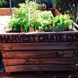 Harvest Crate Co Pic 3 - Harvest Crate 88 each