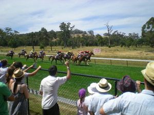 Mike's Wine Tours Pic 5 - Country Horse Racing Day Tours