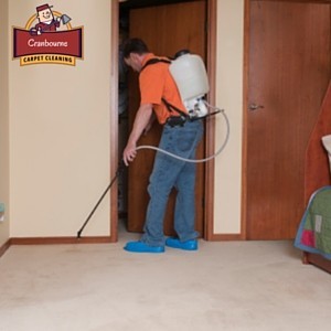 Carpet Cleaning Cranbourne Pic 3 - Carpet Cleaning Cranbourne