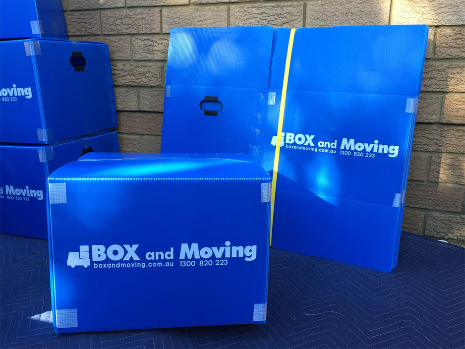 Box & Moving Pic 1 - Plastic Boxes