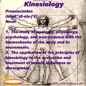 Hawkesbury Natural Therapies Centre Pic 4 - Holistic Kinesiology to improve your health and well being