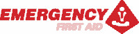 Emergency First Aid Pty Ltd Pic 1