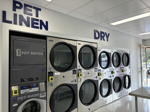 Kiara Laundromat Pic 4