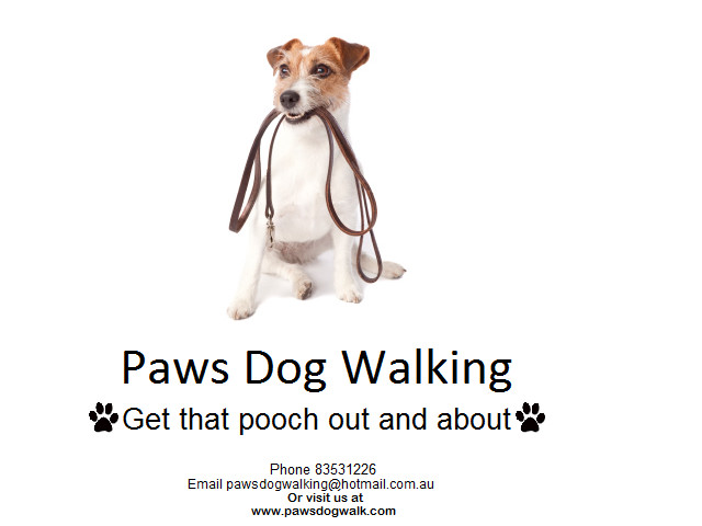 Paws Dog Walking Pic 1