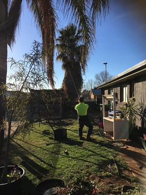 Dubbo Tree Service Pic 5