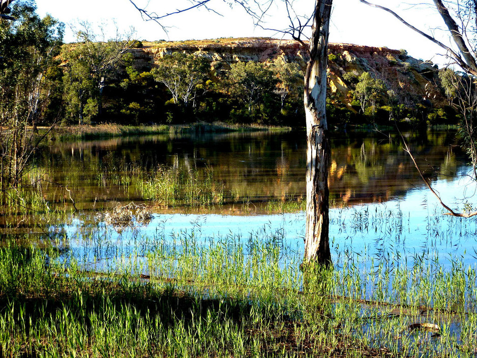 Riverland SA Online Pic 1 - The Murray River Loxton