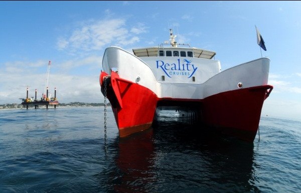 Big Cat Reality Pic 1 - Scuba Diving Brisbane