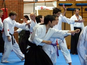 Seikatsu Aikido Martial Arts Pic 2