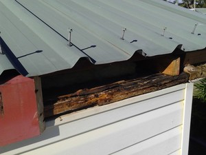 City To Coast Building Maintenance Pic 3 - Short roof sheet leaked back into fascia and framing causing wood rot