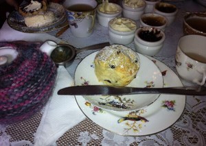 The Tea Cosy Pic 4