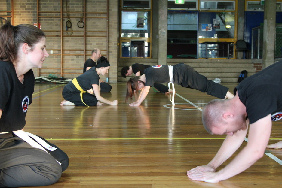 Shaolin System Nam Pai Chuan Kung Fu Pic 1