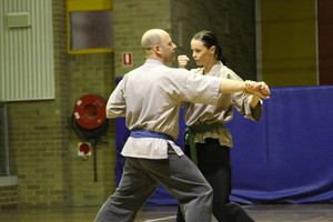 Shaolin System Nam Pai Chuan Kung Fu Pic 3