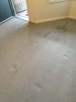 Ecodry Pic 2 - Before a clean