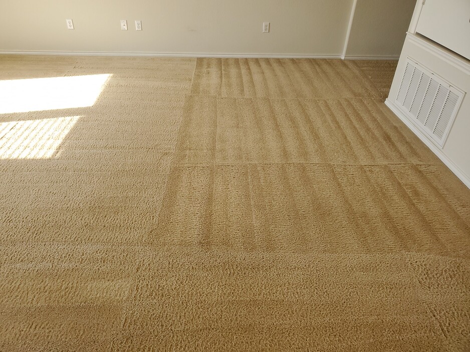 Carpet Cleaning Mermaid Beach Pic 1