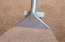 Carpet Cleaning Mermaid Beach Pic 2