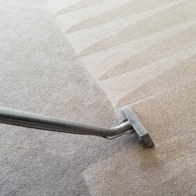 Carpet Cleaning Mermaid Beach Pic 3