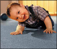 Horizon Carpet Care Pic 1