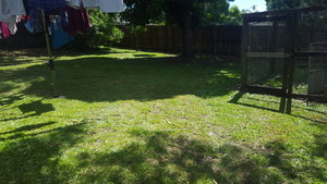 B & S Lawn Care and Property Maintenance Pic 3