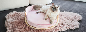 pethood Pic 4 - Medium Pet Beds