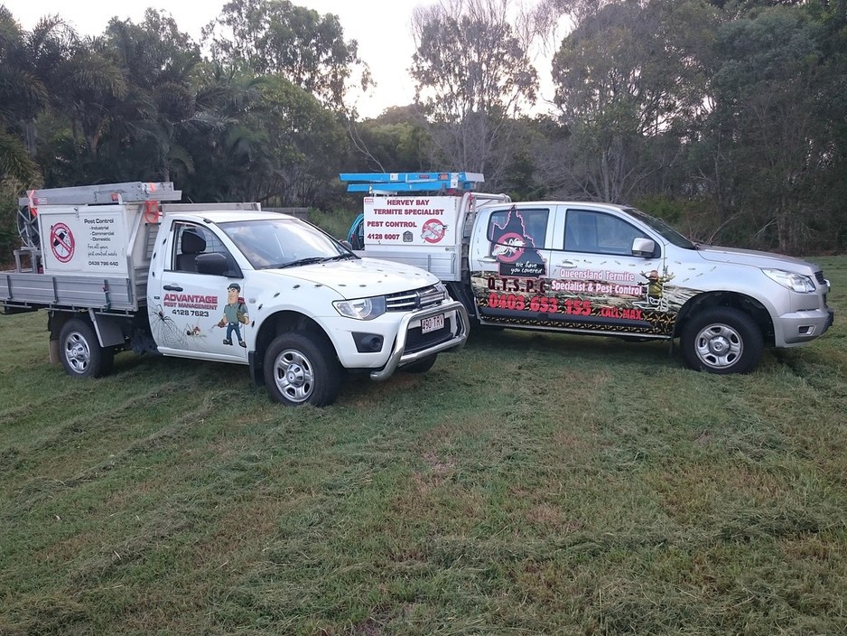 Advantage Pest & Termite Management Pic 1 - Advantage Pest Management and Hervey Bay Termite Specialist working in conjunction with each other