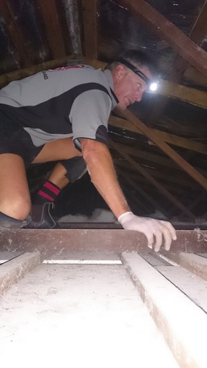 Advantage Pest & Termite Management Pic 3 - Rodent hunting in the roof void