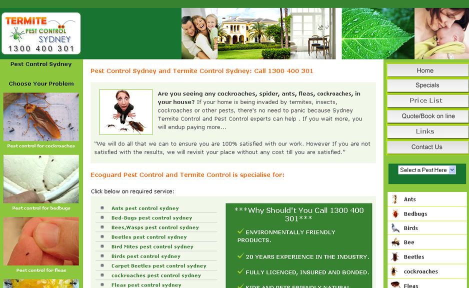 Termite Pest Control Sydney Pic 1 - pest control sydney