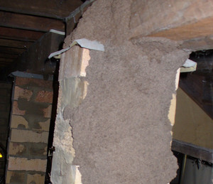 Gympie Termite and Pest Services Pic 5 - Termites