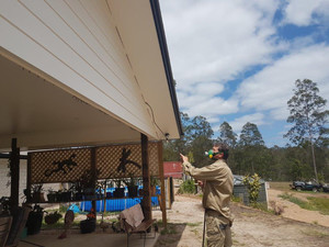 Gympie Termite and Pest Services Pic 4