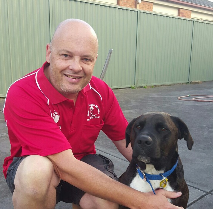 AUSSIE POOCH MOBILE LANGWARRIN Pic 2 - Steve With His Dog Theo