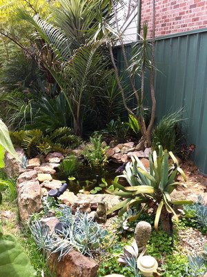 Guardian Garden Services Pic 3