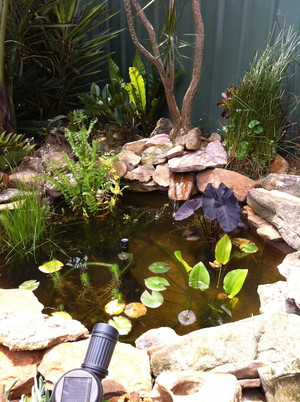 Guardian Garden Services Pic 2 - Ponds