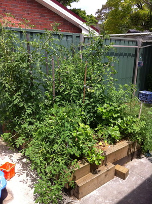 Guardian Garden Services Pic 4 - Vegie Gardens