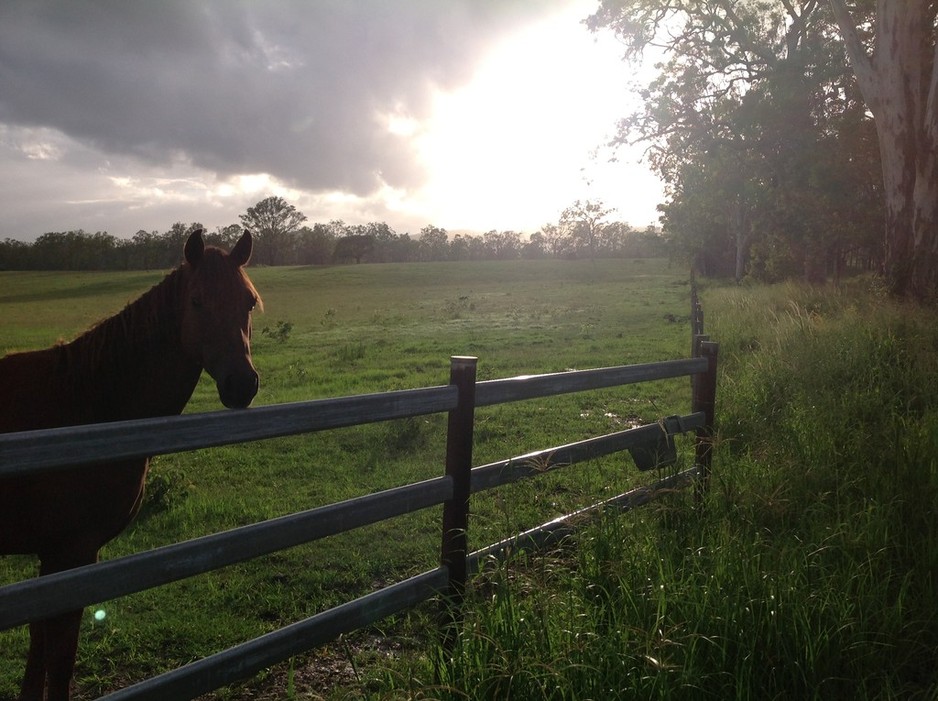 Green Acres Trails and Training Pic 1