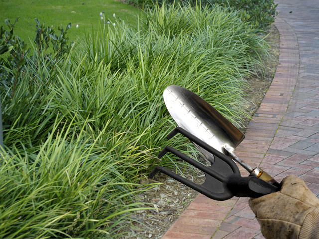 Brian's Gardening Services Pic 1 - Gardening Services Northern Suburbs