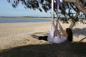 Aerial Arts Academy Pic 3