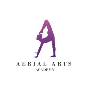 Aerial Arts Academy Pic 4