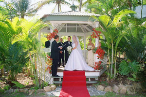 Magnetic Island Celebrant - David Crusty Herron Pic 5 - The Gazebo Amaroo Resort Magnetic Island