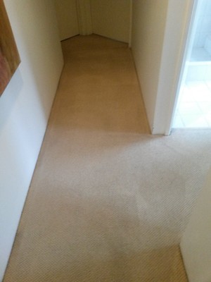 Diamond Carpet Care Perth Pic 2 - After using Diamond Carpet Care for carpet cleaning in Perth