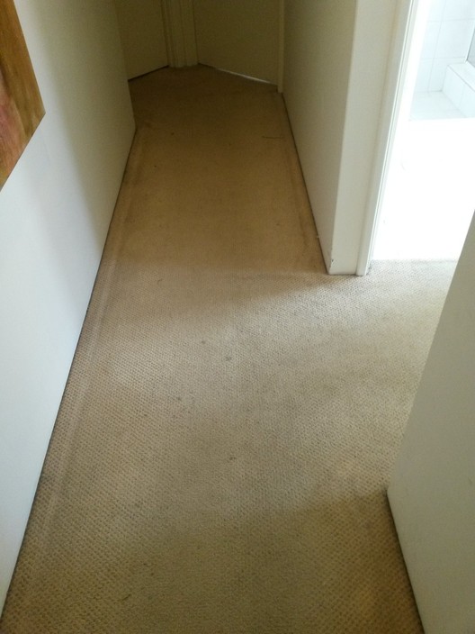 Diamond Carpet Care Perth Pic 1 - Before using Diamond Carpet Care for carpet cleaning in Perth