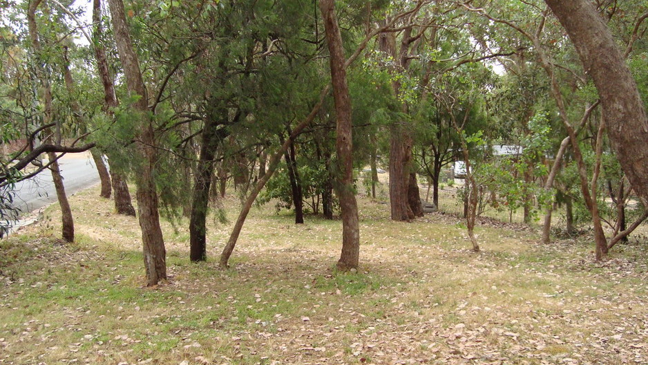 Bush Block Mowing Pic 1 - Bush blocks a speciality