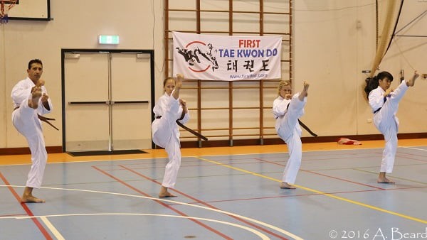 First Tae Kwon Do Pic 1 - Basic kicking drills during class