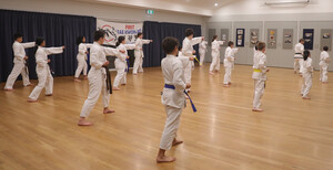 First Tae Kwon Do Pic 2 - Patterns training