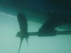 Lake Macquarie Hull Cleaning Pic 4 - propeller