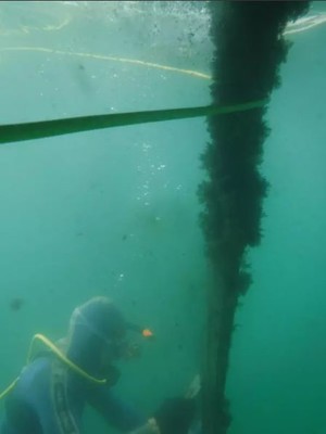 Lake Macquarie Hull Cleaning Pic 5 - scuber dive