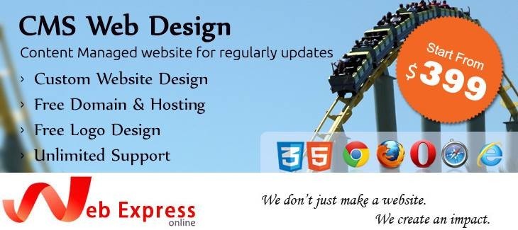 Web Design Brisbane Southside Pic 1 - Website Design Brisbane Southside Australia