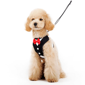 Sacred Pet Boutique Pic 4 - Our Easygo harnesses are perfect for dogs or cats They are easy to put on lightweight and are adorable