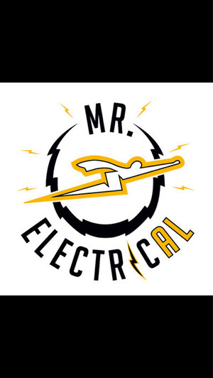 Mr ElectricAl Pic 2