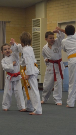 Shukokai Karate Alliance Pic 3