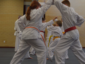 Shukokai Karate Alliance Pic 2